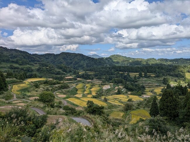 星峠の棚田