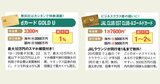 ゴールドカード&プラチナカードは年会費以上にお得！若者限定特典とコンシェルジュサービスの凄い実力