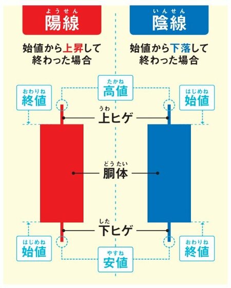 陽線は始値から上昇して終わった場合。陰線は始値から下落して終わった場合。