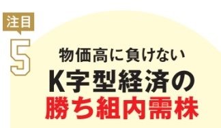 物価高に負けないK字型経済の勝ち組内需株